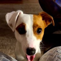 Hodge Eliza Donnett's profile image