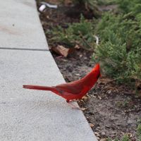 Shirley Tabinski's profile image