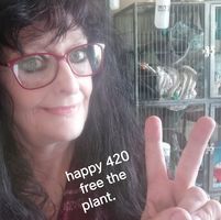 Juli Aitch's profile image