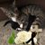 Audrey Blodgett's profile image