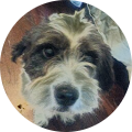 curtis Finch's Profile Image