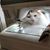 Sue Lantzer's profile image
