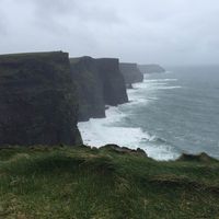 Sandy Crone's profile image