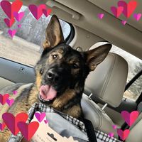 Kristi DeJong's profile image