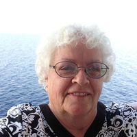 Ann Medlock's profile image