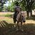 Connie Taylor Motley's profile image