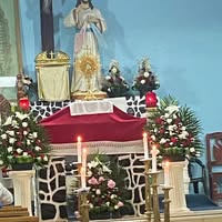 Arenas Cruz More's profile image