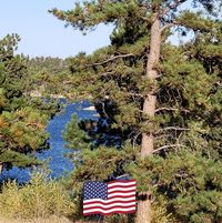 Connie Swanson's profile image