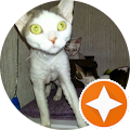 Jeanie's Profile Image