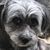Tresa Margiotta's profile image