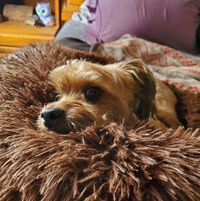 Julie Zee's profile image