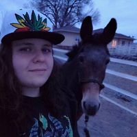 Julian Cleland's profile image
