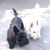 Marilyn Pennington's profile image