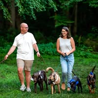 Allison Greene Fryer's profile image