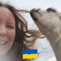 Malin Johansson's profile image