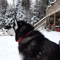 Shelley Post Bennett's profile image
