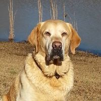 Sam Mitchell's profile image