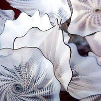 Kim Husband's profile image