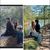 Jean N Darren Chiasson's profile image