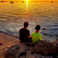 Steve Carroll's profile image