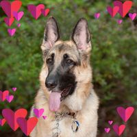 Maggie Moo's profile image