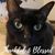 Donna Warnick's profile image