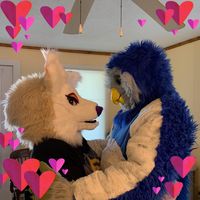 Blake Rigsbee's profile image