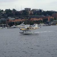 Ron Fedel's profile image