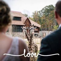Lauren Fiore's profile image