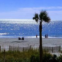 Jimmy Williams's profile image