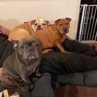 Heidi Orr's profile image