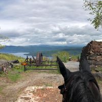 Michelle Stringer Blanco's profile image