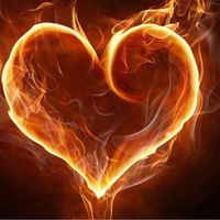 Sun Harrigan's profile image