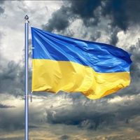 Michelle Wheeler Albright's profile image