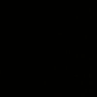 Shelly Koo's profile image