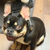 Richard Mason II's profile image