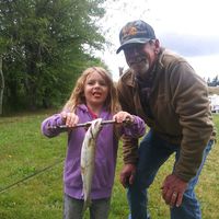 Mark Olson's profile image