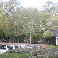 Amada Moreno Huerta's profile image