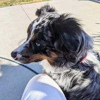 Dianne Robbins's profile image