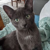 Jill Spark's profile image