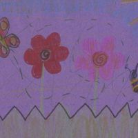 David Nina Mashni's profile image