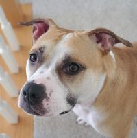 Chrysten Anne's profile image