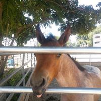 Lilly Bug's profile image