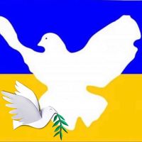 Lauren Mc's profile image