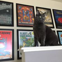Cano Spina's profile image