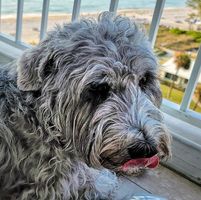 SuePhin Zurick's profile image