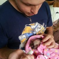 Pedro Felipe Montero Castro's profile image