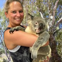 Lindsey Morsefield Wehner's profile image