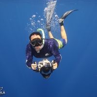 Douglas Hoffman's profile image
