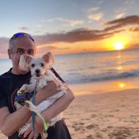 Kelvin Dale's profile image